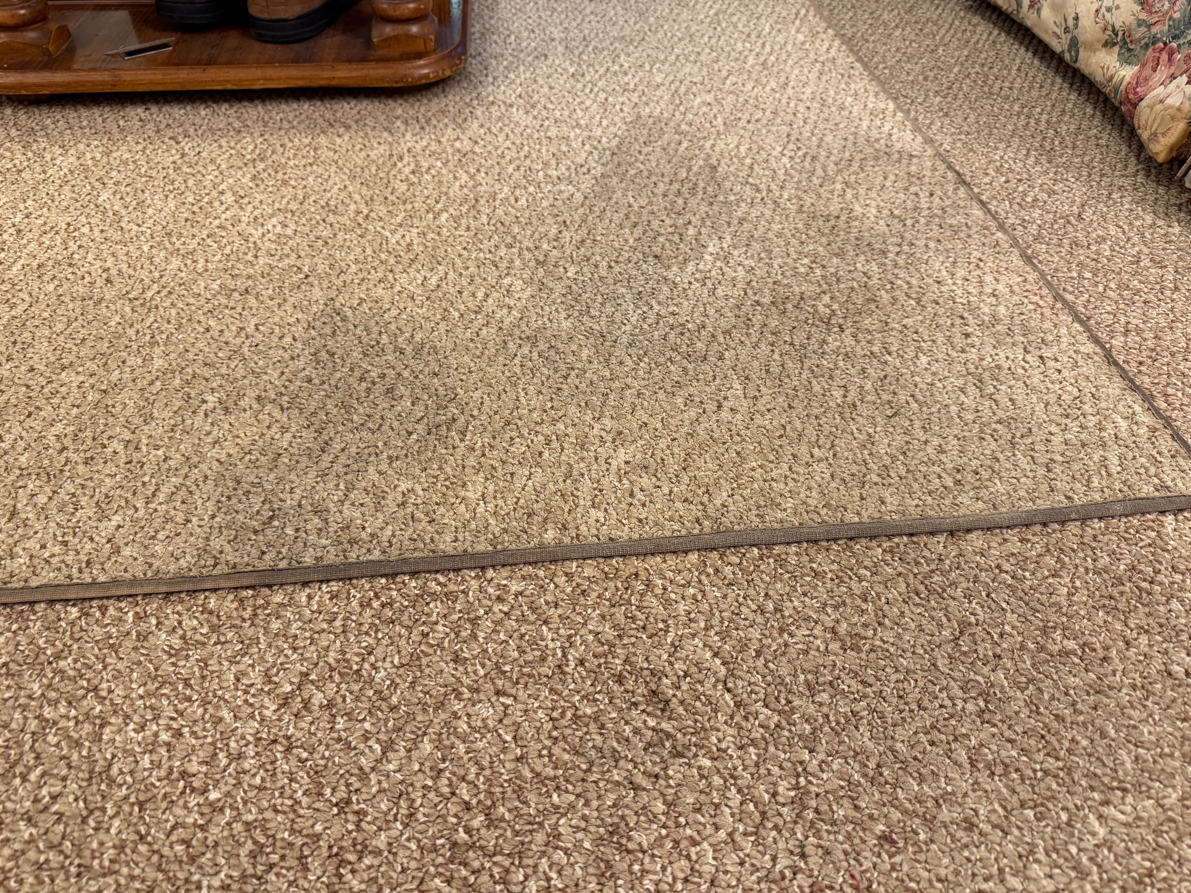 Carpet before PureLoom cleaning
