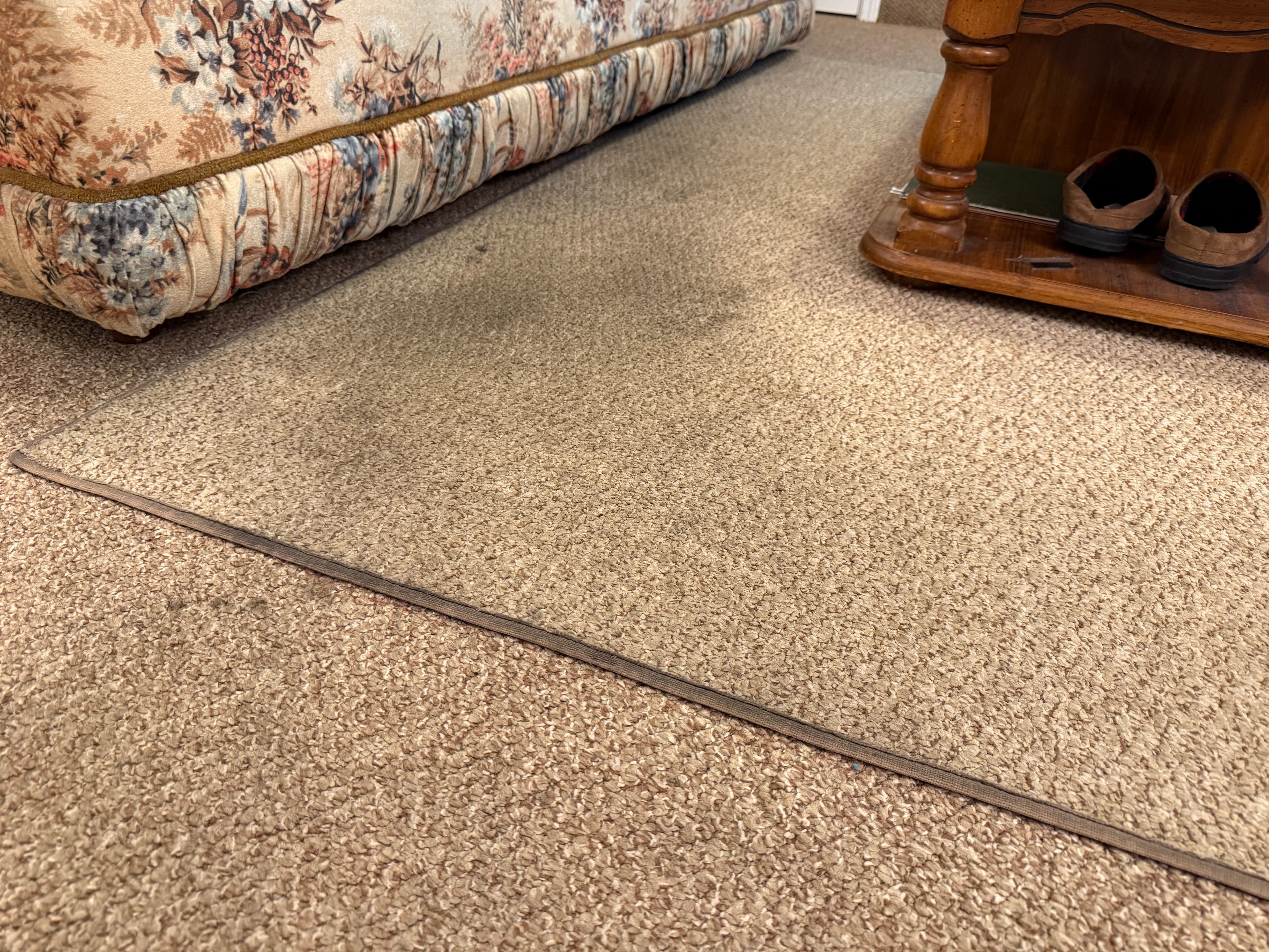 Area rug before PureLoom cleaning