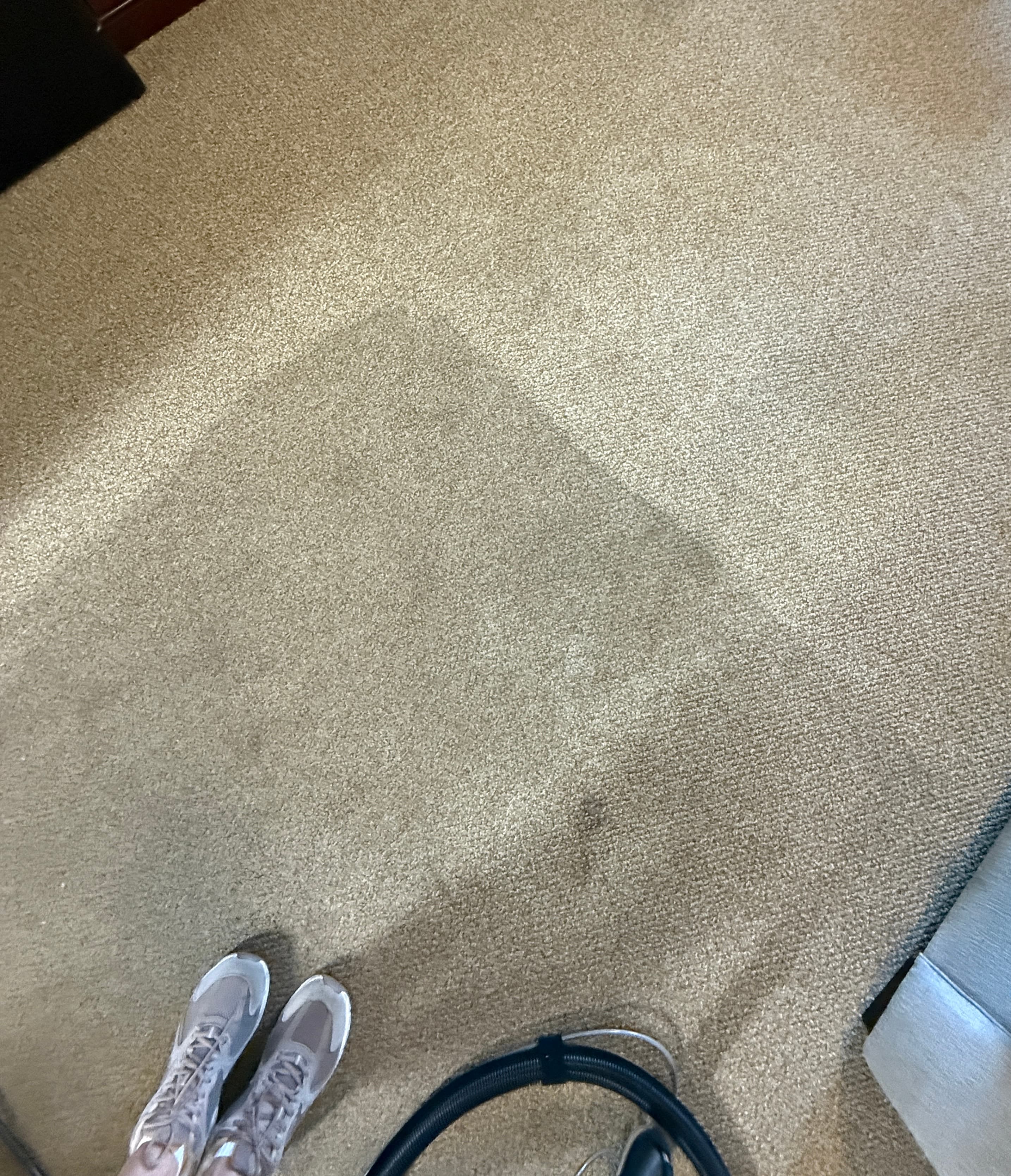 Carpets & Area Rugs