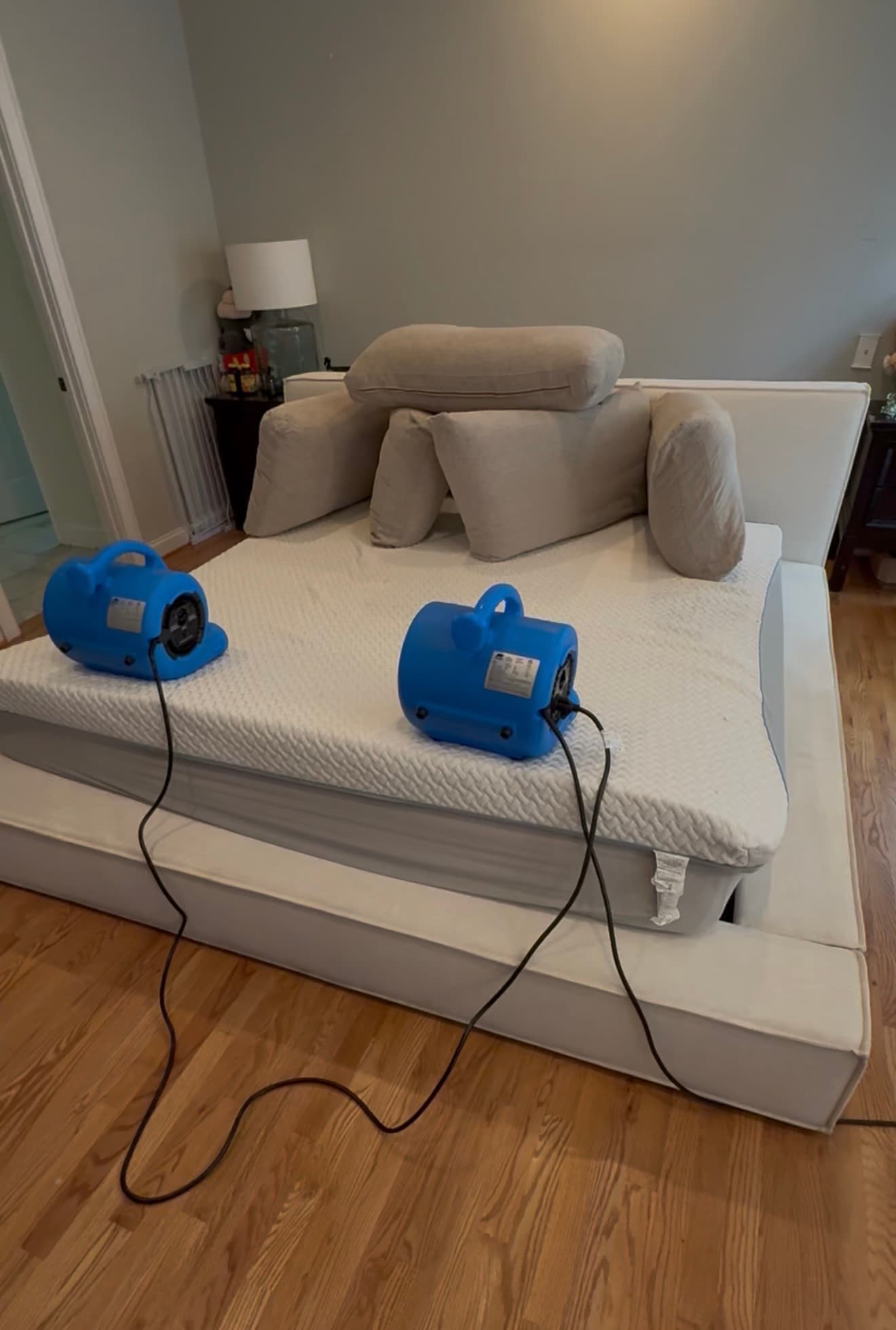 Mattress cleaning with air movers drying the surface